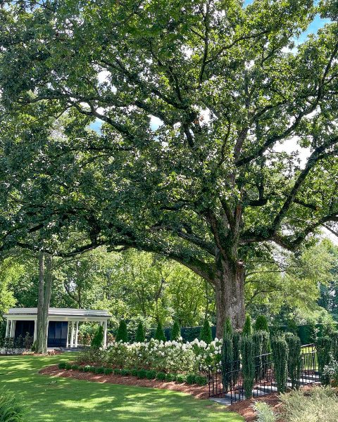 Backyard tree located on idyllic historic country estate